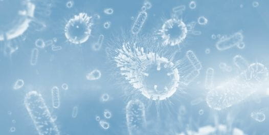 Pathologies et maladies